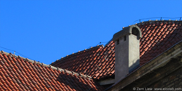 ff-tallinn-roof