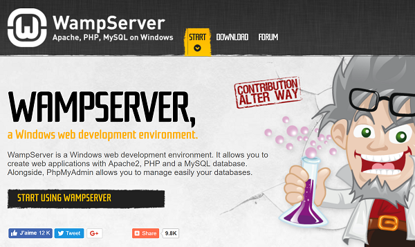 Screengrab of WampServer home page