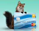 Bankwest Fox. Image from Bankwest.com.au
